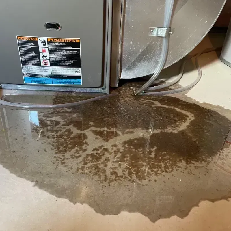 Appliance Leak Cleanup in Washburn, IL